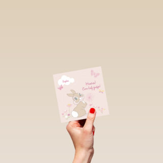disney baby hoera een lief zusje
