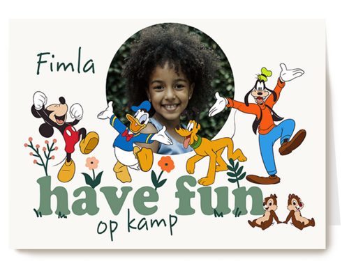 Mickey Friends Have Fun Kamp