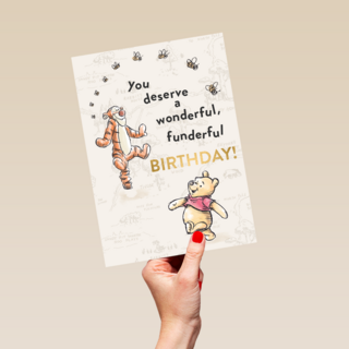 Winnie en Tijgertje wonderful birthday