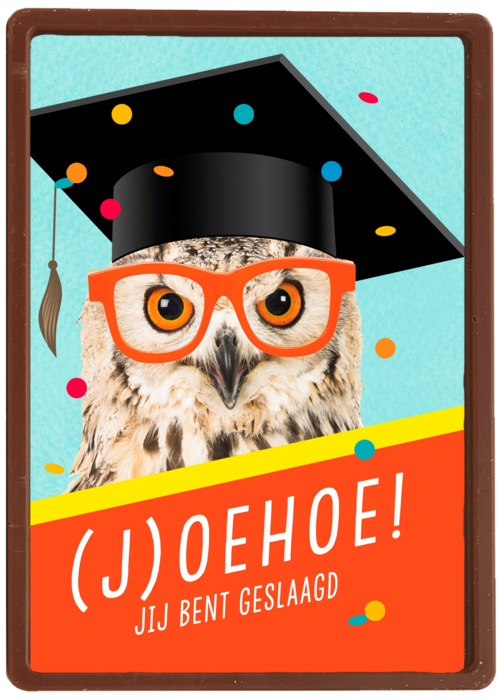 Kaart Hallmark | Diploma | Geslaagdkaart Uil Met Bril Joehoe Jij Bent Geslaagd