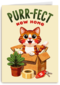 Nieuwe Woning Purrfect New Home