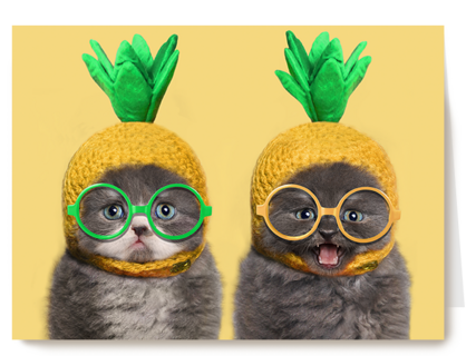 Chromazone kittens bril