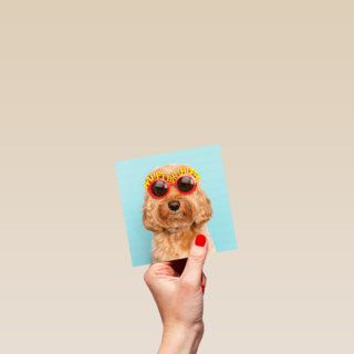 Verjaardagskaart hond met zonnebril