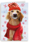 Big smile dog christmas