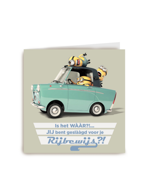 minions jij bent geslaagd voor je rijbewijs