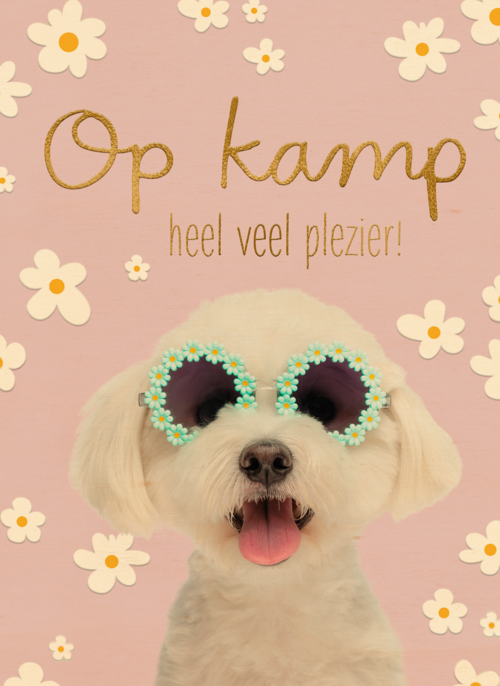 Hond op kamp