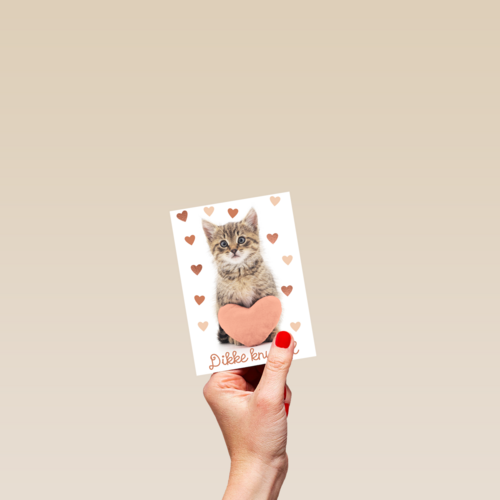 Liefde kaart kat met hart en dikke knuffel