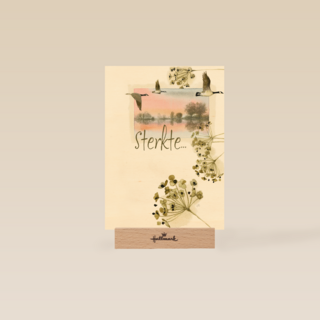 sterkte met dit verlies