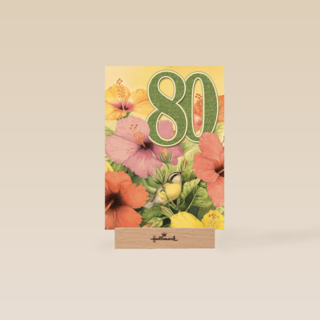 verjaardag leeftijden marjolein bastin 80 jaar