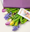 Bloemen Brievenbusboeket Spring is here