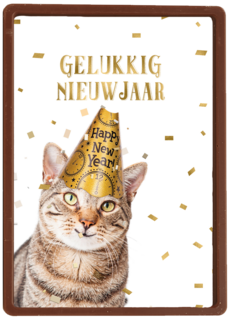 nieuwjaar kaart kat gelukkig nieuwjaar