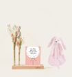 Brievenbuspakket Droogbloemen Baby Girl Roze Met Knuffeldoekje