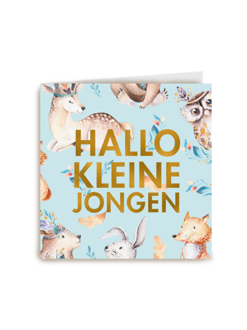 hallo lieve kleine jongen