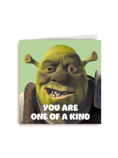 shrek you are one of a kind