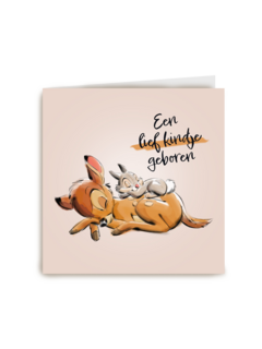 Een lief kindje op komst met Bambi