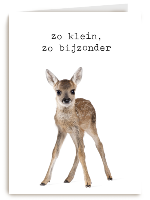 Een furry cuddles kaart zo klein zo bijzonder hert