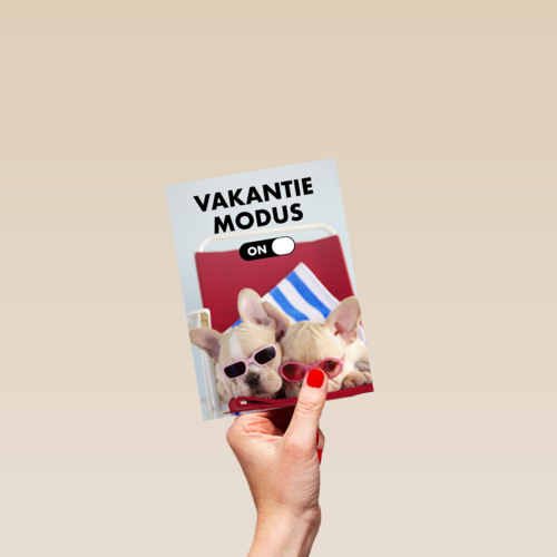 vakantiemodus aan staykation
