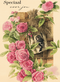 moederdag klassiek speciaal voor jou een bloemetje