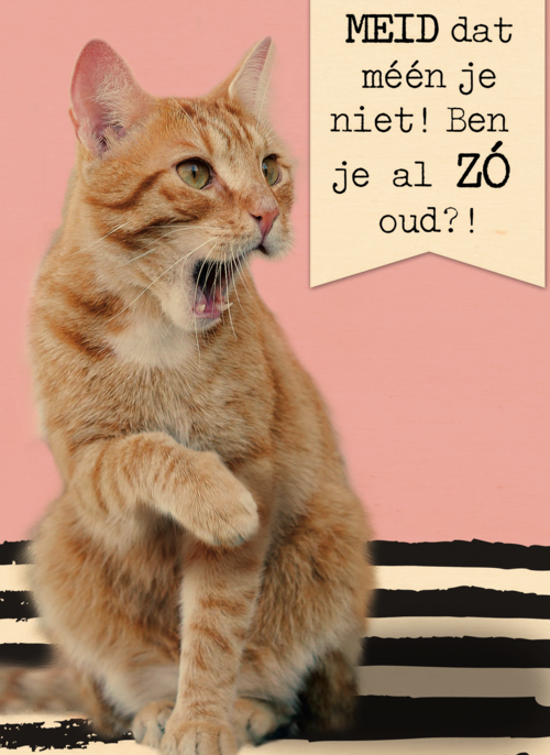meid dat meen je toch niet