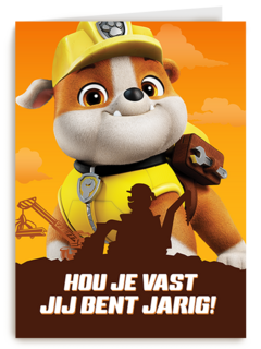 Paw Patrol Rubble Jarig