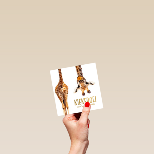 geboorte giraffe kiekeboe