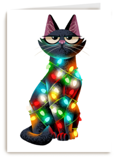 kerstkaart grappig kat met kerstlichtjes folio