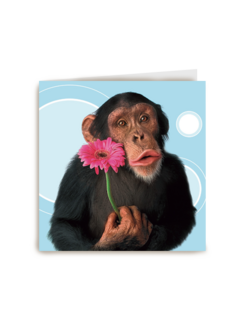 dierendag aap met bloem