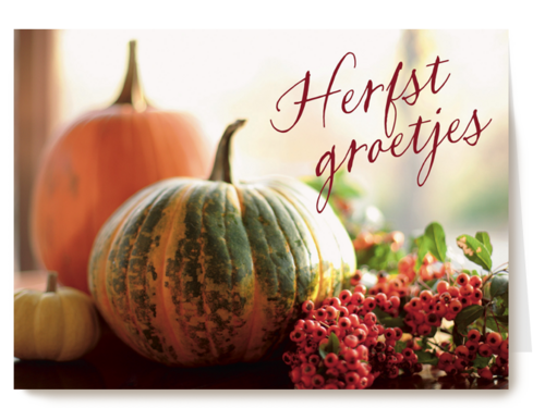 herfst kaarten herfst groetjes