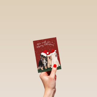 Kerstmis Honden Met Kerstmuts