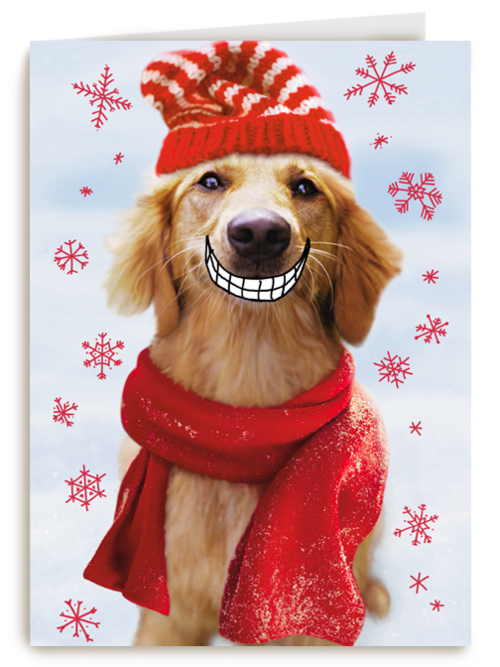 Big smile dog christmas