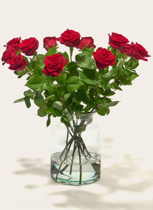 Boeket Rode Rozen Luxe Cadeau Verse Bloemen |