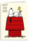 nieuw huis snoopy