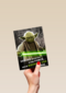 Star Wars Yoda much birthday fun