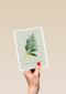 Kerstkaart klassiek tak met winter greetings