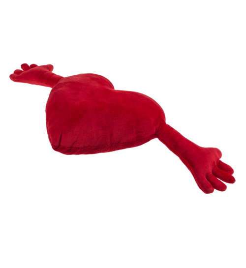 Kussen Dikke Knuffel