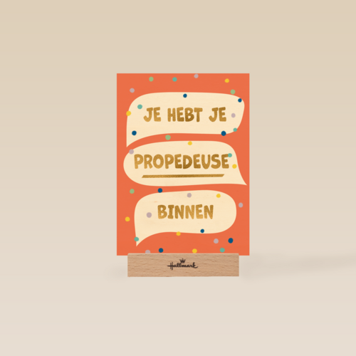 Je hebt je propedeuse binnen