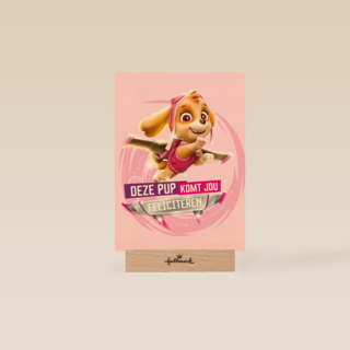 Paw Patrol deze pup komt jou feliciteren