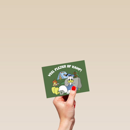 Donald Duck Veel plezier op kamp groen