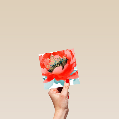 watercolor bloem blanco