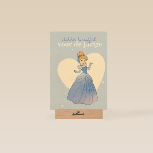 prinses kaart disney dikke knuffel voor de jarige assepoester