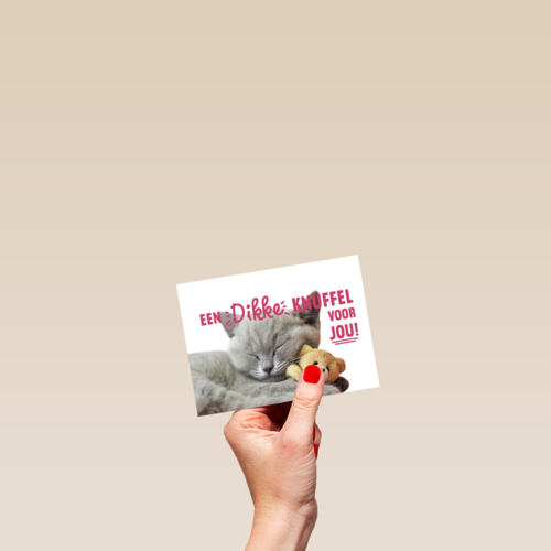 een dikke kattenknuffel voor jou