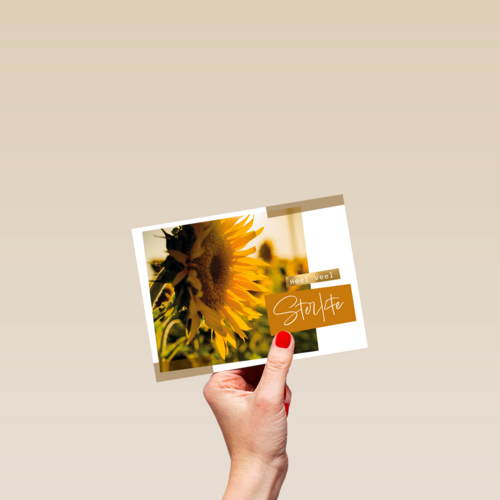 Sterkte kaart zonnebloem
