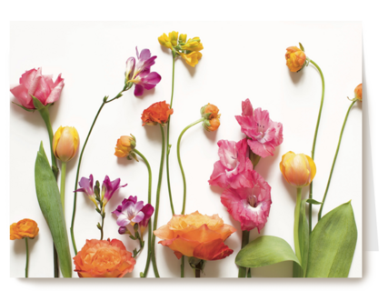 veldbloemen
