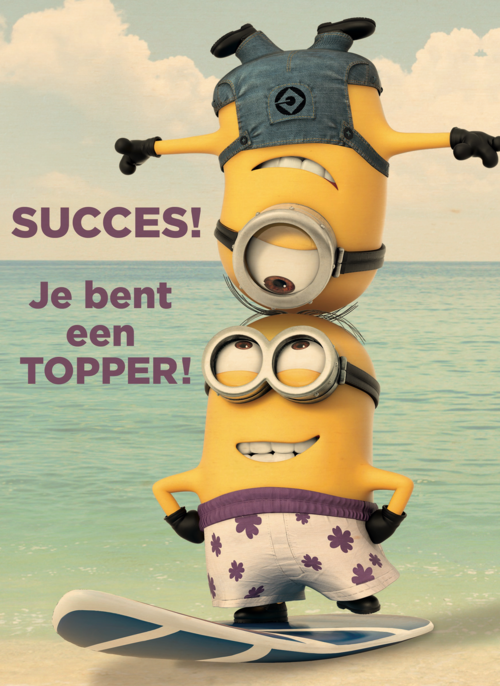 minions succes je bent een topper