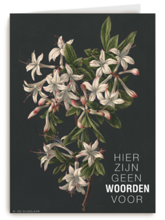 hier zijn geen woorden voor bloemen
