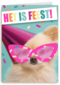 het is feest met hond met bril en hoed