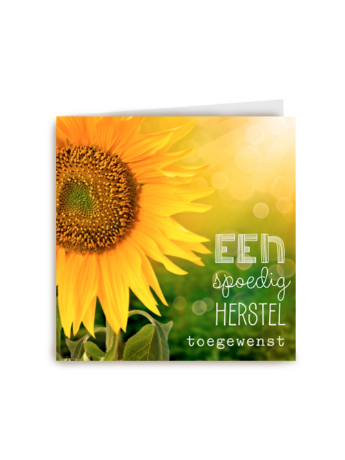 zonnebloemen spoedig herstel