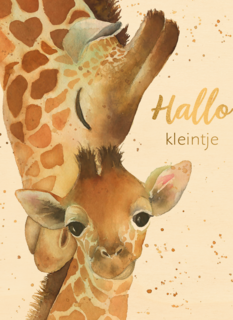 geboorte hallo kleintje giraffe