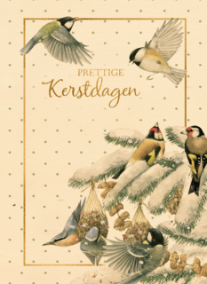 Kerstkaart klassiek Marjolein Bastin Kerst putter en koolmees