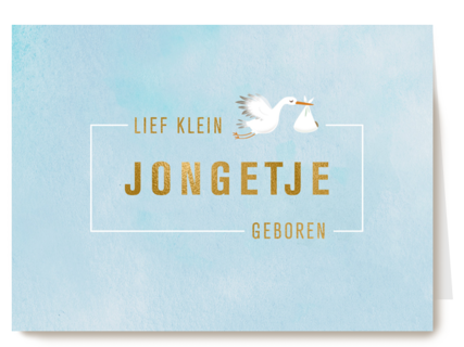 Babykaart zoon Ooievaar Een klein jongetje geboren